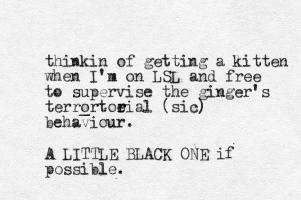 thinkin of getting a litten when I'm on LSL and free to supervise the ginger's terrortoei r r r al (sic) _ behaviour. k A LITTLE BLACK ONE if possible. 