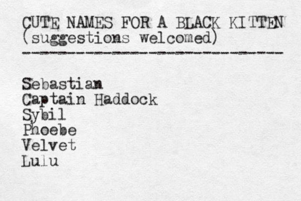 CUTE NAMES FOR A BLACK KITTEN (suggestions welcomed) ----------------------------- Sebastian Captain Haddock Sybil Phoebe Velvet Lulu 