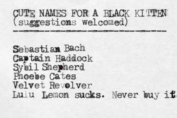CUTE NAMES FOR A BLACK KITTEN (suggestions welcomed) ----------------------------- Sebastian Captain Haddock Sybil Phoebe Velvet Lulu Bach Shepherd Cates Revolver Lemon sucks. Never buy if t t 