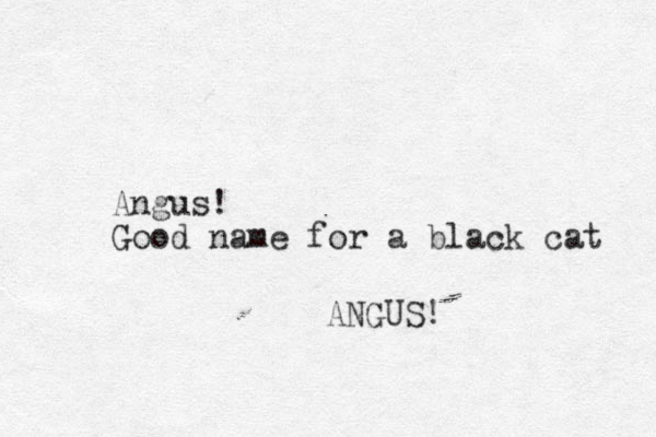 Angus! Good name for a black cat ANGUS! 