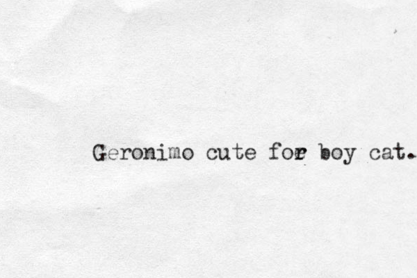 Geronimo cute foe r r boy cat. 