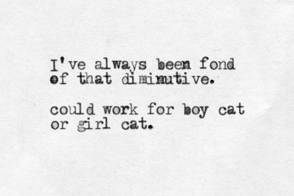 I've always been fond of that diminutive. could work for boy cat or girl cat. 