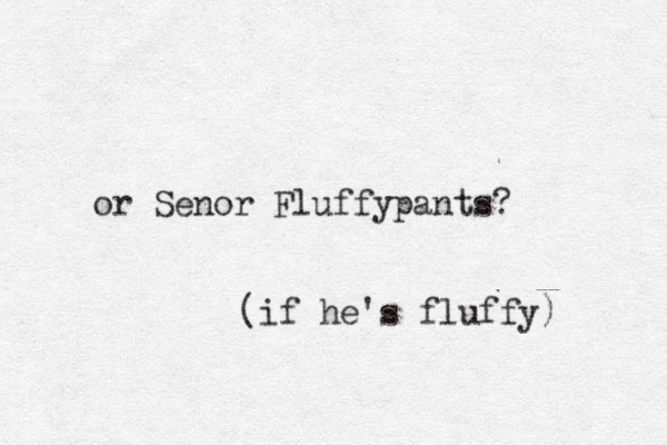 or Senor Fluffypants? (if he's fluffy) 