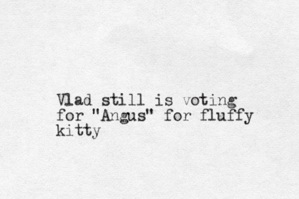 Vlad still is voting for "Angus" for fluffy kitty