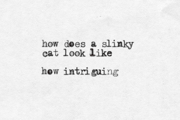 how does a slinky cat look like how intriguing