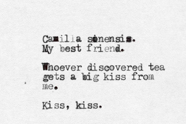 Camilla so inensis. My best friend. Whoever discovered tea gets a big kiss from me. Kiss, kiss.