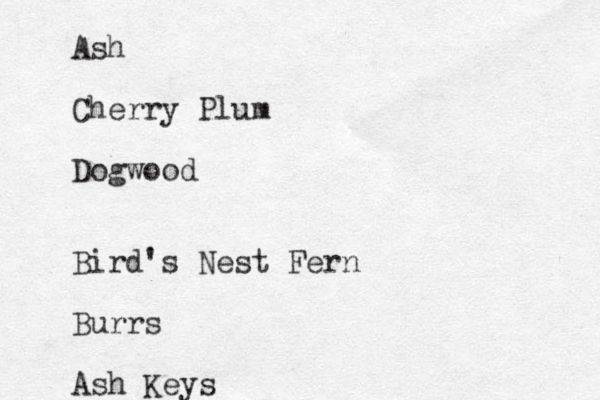 Ash Cherry Plum Dogwood Bird's Nest Fern Burrs Ash Keys
