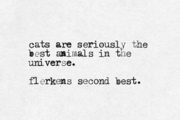 cats are seriously the best animals in the universe. flerkens second best. 