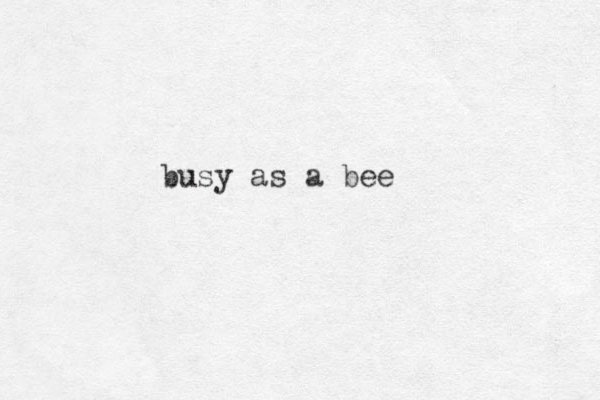 busy as a bee