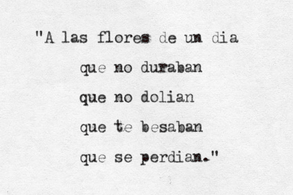 "A las flores de u n dia que no duraban que no dolian que te besaban que se perdian." 