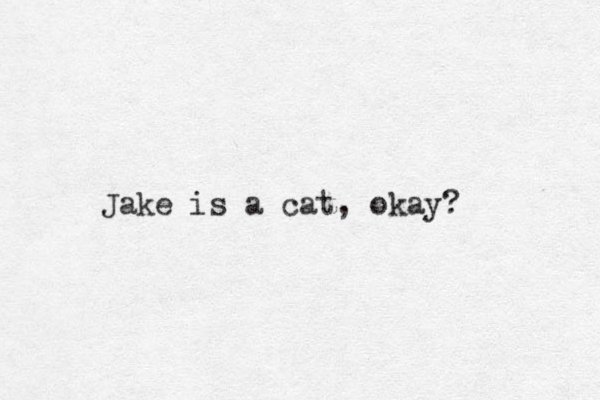 Jake is a cat, okay? 