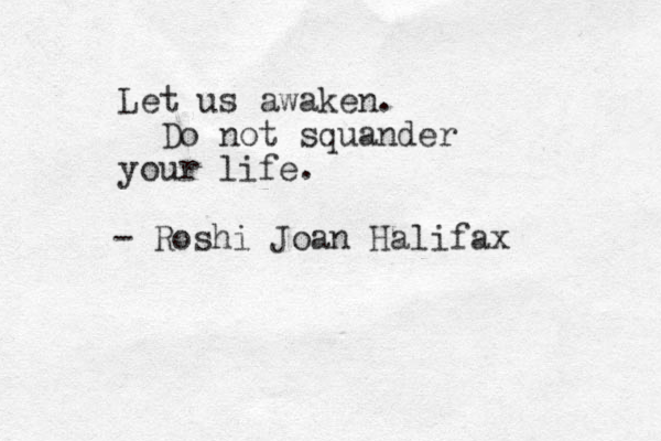 Let us awaken. Do not squander your life. - Roshi Joan Halifax