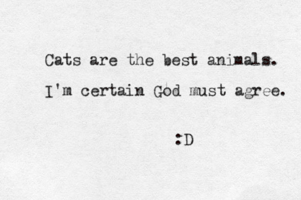 Cats are the best animals. I'm certain God must agree. :D 