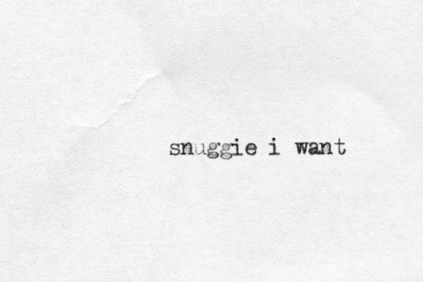 snuggie i want
