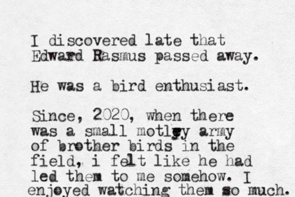 I discovered late that Edward Rasmus passed away. He was a bird enthusiast. Since, 2020, when there was a small motly e r ey army of brother birds in the field, i felt like he had led them to me somehow. I enjoyed watching them so much. 