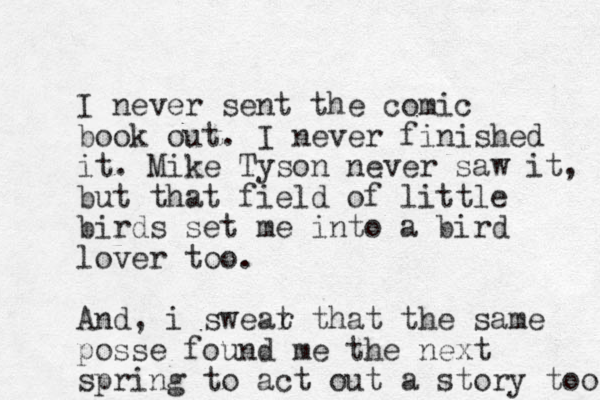 I never sent the comic book out. I never finished it. Mike Tyson never saw it, but that field of little birds set me into a bird lover too. And, i sweat r that the same posse found me the next spring to act out a story too 