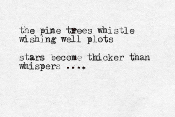 the pine trees whistle wishing well plots stars become thicker than whispers ....