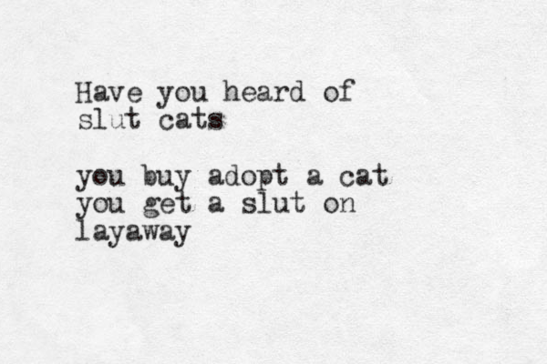 Have you heard of slut cats you buy adopt a cat you get a slut on layaway