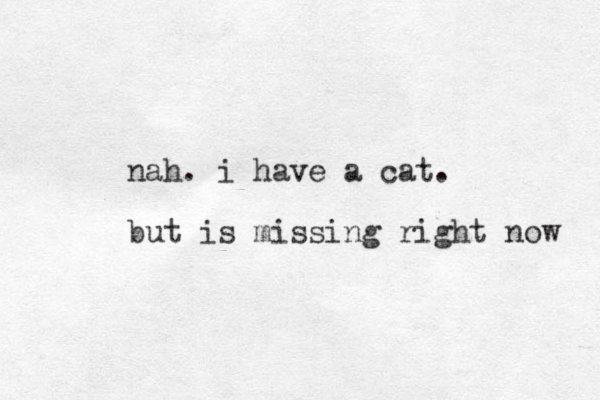 nah. i have a cat. but is missing right now 