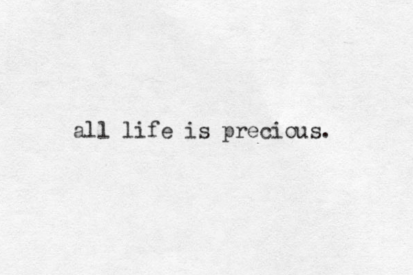 all life is precious. 