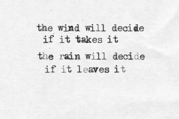 the wind will de cide if it takes it the rain will decide if it leaves it