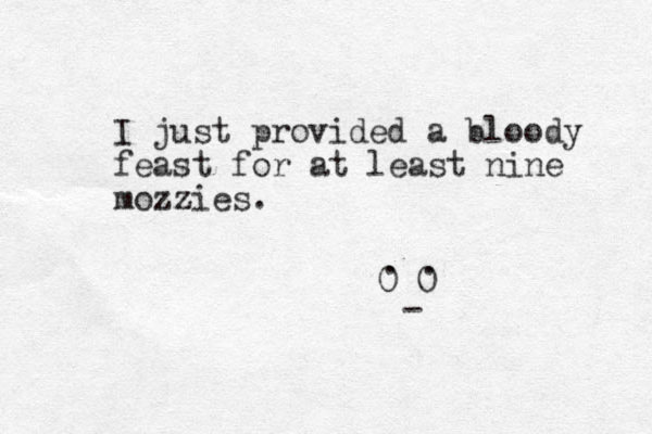 I just provided a bloody feast for at least nine mozzies. 0 0 . . - 