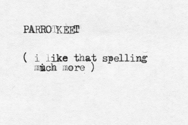 PARROTKEET ( i like that spelling mich more ) u
