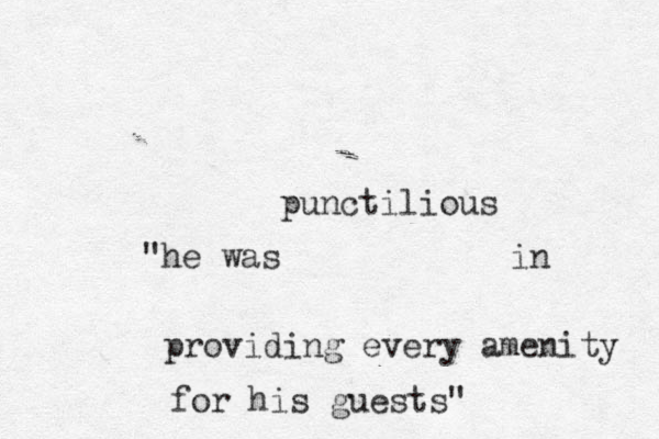 punctilious "he was in providing every amenity for his guests"