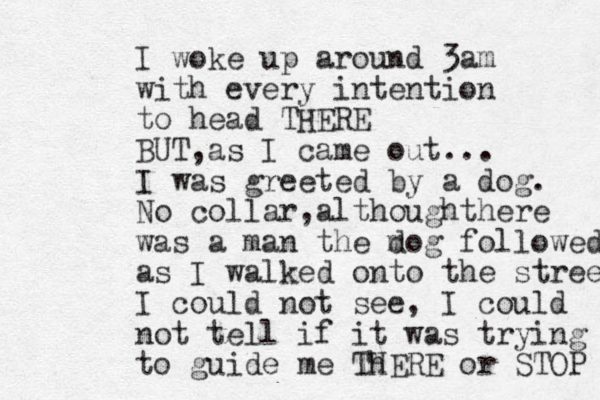 I woke up around 3am with every intention to head THERE BUT ,as I came out ... I was greeted by a dog. No collar ,althoughthere was a man the m dog followed as I walked onto the street I could not see , I could not tell if it was trying to guide me Th HERE or STOP 