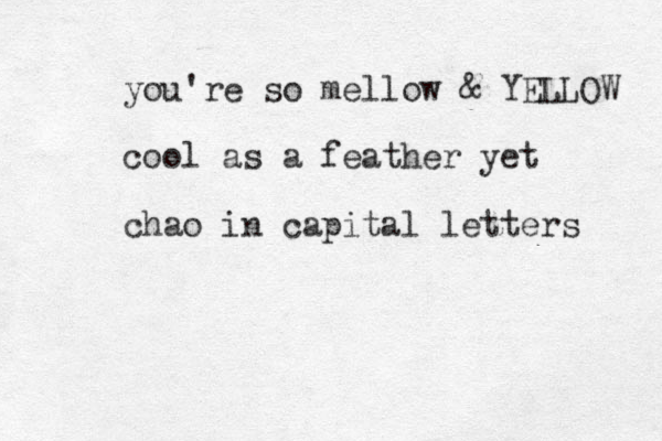 you're so mellow & YELLOW cool as a feather yet chao in capital letters 