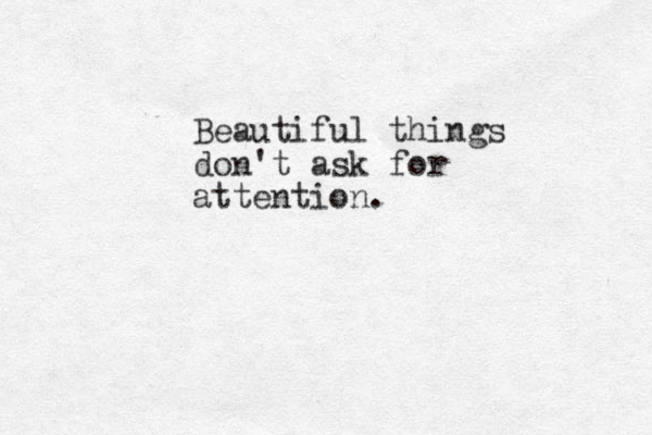 Beautiful things don't ask for attention.