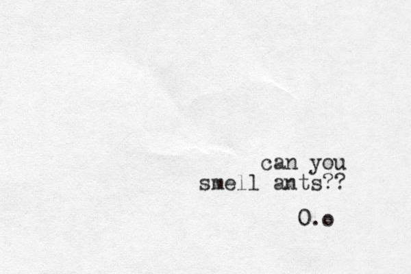 can you smell ants?? 0.o
