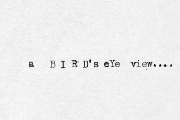 a B I R D D's eYe view.... 