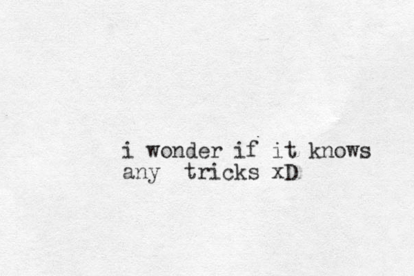 i wonder if it knows any tricks xD