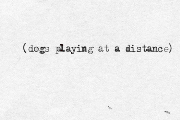 (dogs playing at a distance) 