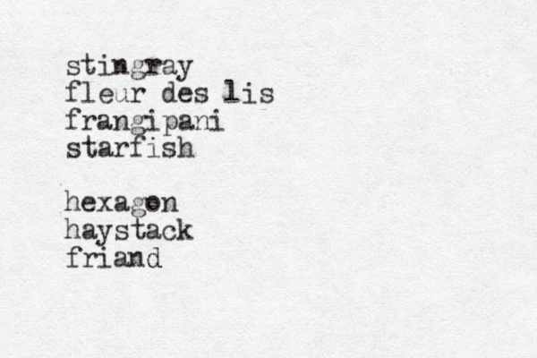 stingray fleur des lis frangipani starfish hexagon haystack friand d 