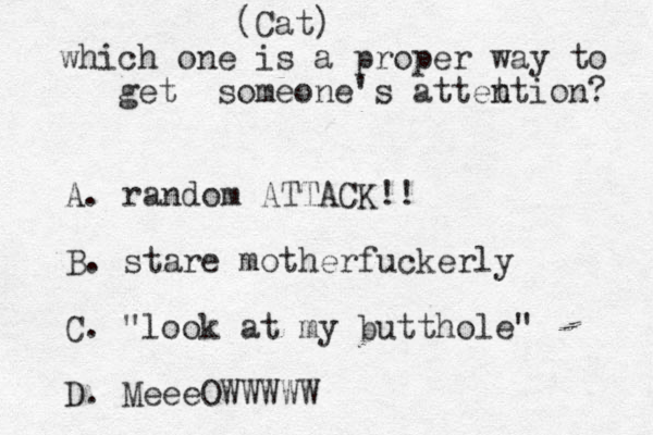 (Cat) which one is a proper way to get someone's attet ntion? A. random ATTACK!! B. stare motherfuckerly C. "look at my butthole" D. MeeeOWWWWW 