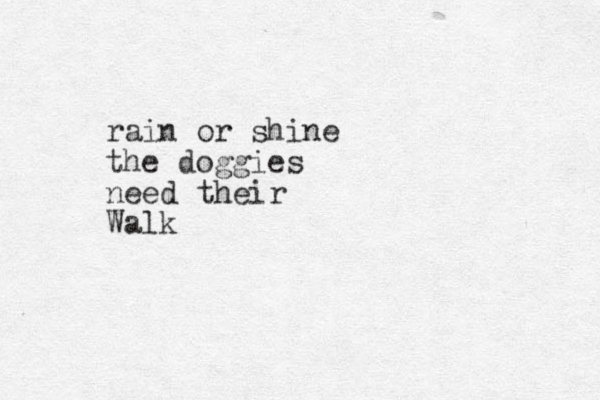 rain or shine the doggies need their Walk 