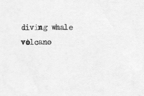 diving whale vi o olcano