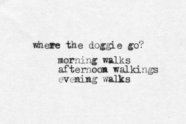 where the doggie go? morning walks afternoon walkings evening walks