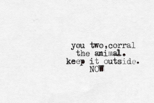 you two,corral the animal. keep it outside. NOW