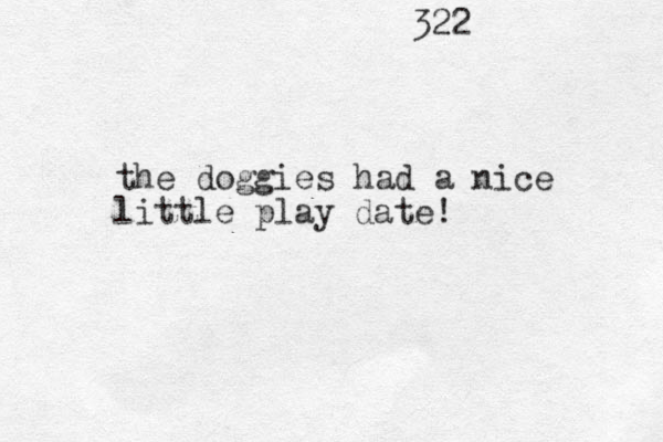 322 the doggies ha d a nice little play date!