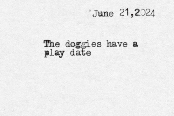 The doggies have a play date June 21,2024 