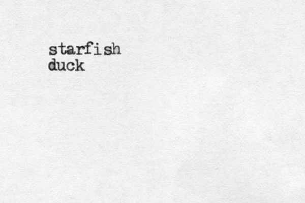 starfish duck d 