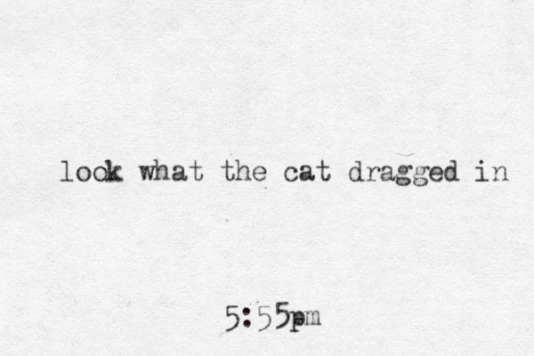5:55pm look what the cat dragged in 