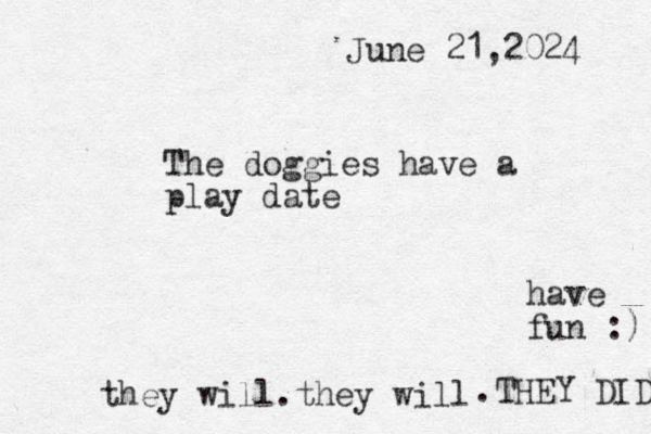 The doggies have a play date June 21,2024 have fun :) they will.they will .THEY DID 