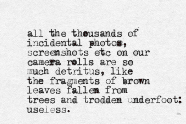 all the thousands of incidental photos, screenshots etc on our camera rolls are so much detritus, like the fragments of brown leaves fallen from trees and trodden underfoot: useless.
