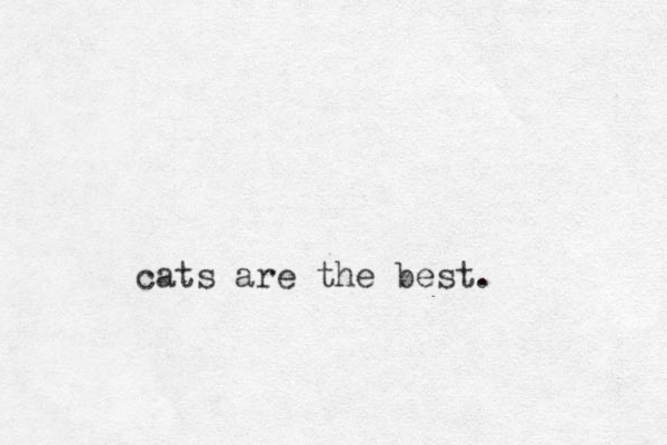 cats are the best. 