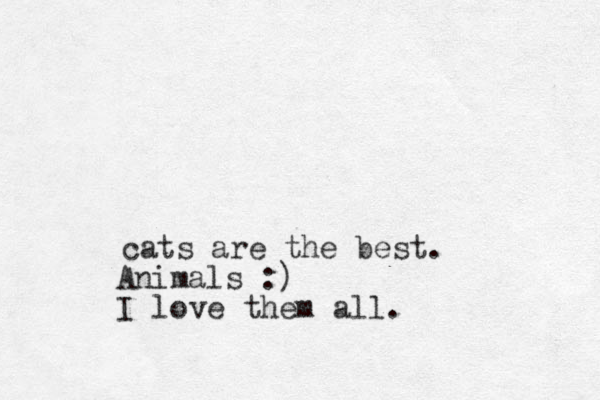 cats are the best. Animals :) I love them all.