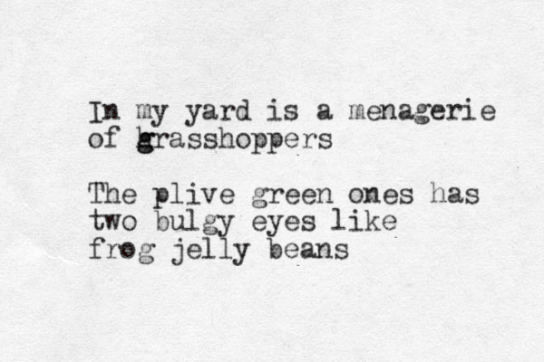 In my yard is a menagerie of hrasshoppers g g The plive green ones has two bulgy eyes like frog jelly beans